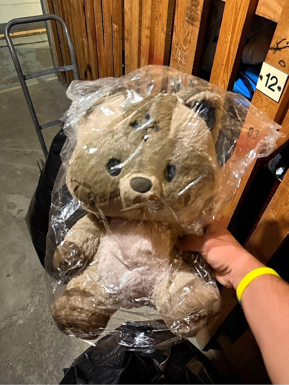 Large Genshin Impact Bake-Danuki Tanuki Plush Toy - Inazuma Raccoon